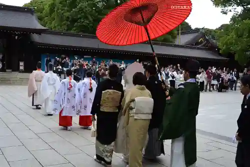 明治神宮(東京都)