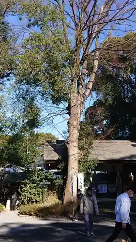 阿佐ヶ谷神明宮のその他建物