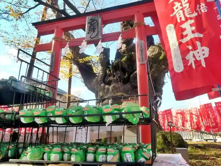 秩父今宮神社(埼玉県)