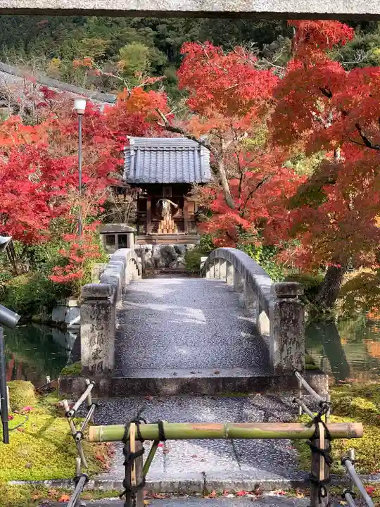 禅林寺(永観堂)(京都府)
