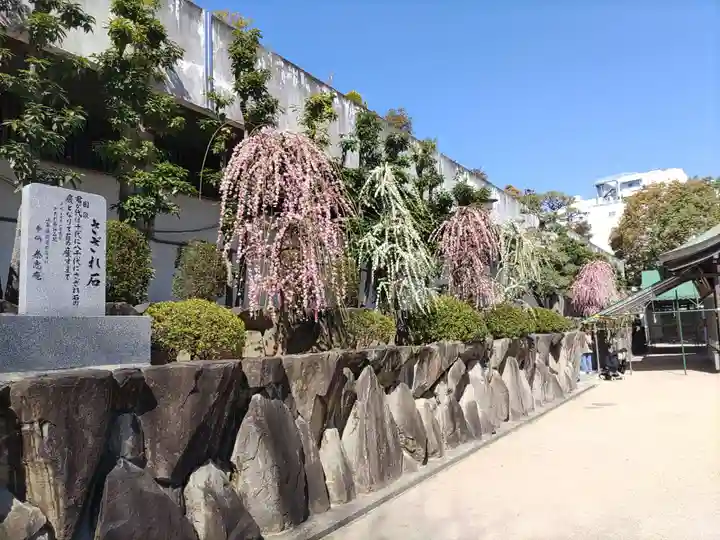 大阪天満宮(大阪府)