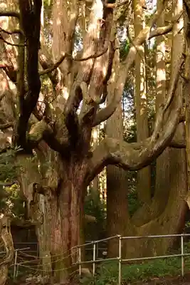 祖母神社(熊本県)