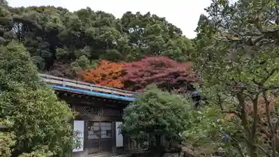 醍醐寺(京都府)