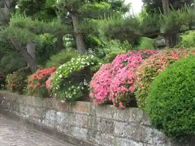 神崎寺(開運水戸不動尊)(茨城県)