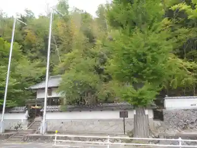 天神社(愛知県)