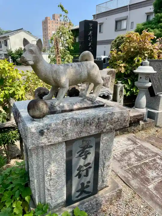 円明寺(静岡県)