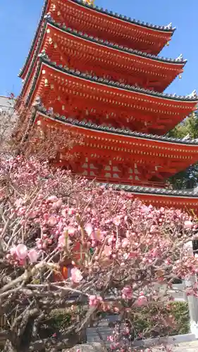 東長寺の塔