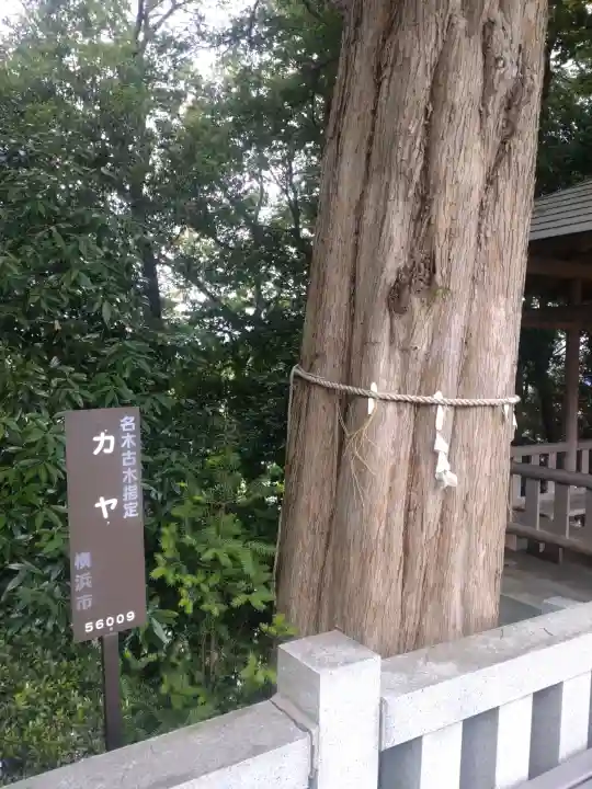 神鳥前川神社(神奈川県)