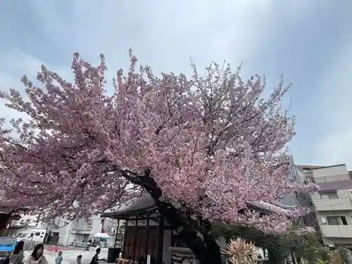 感通寺の御朱印