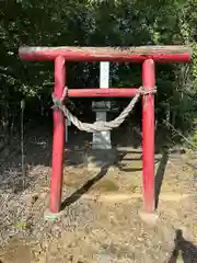 賀茂別雷神社(栃木県)