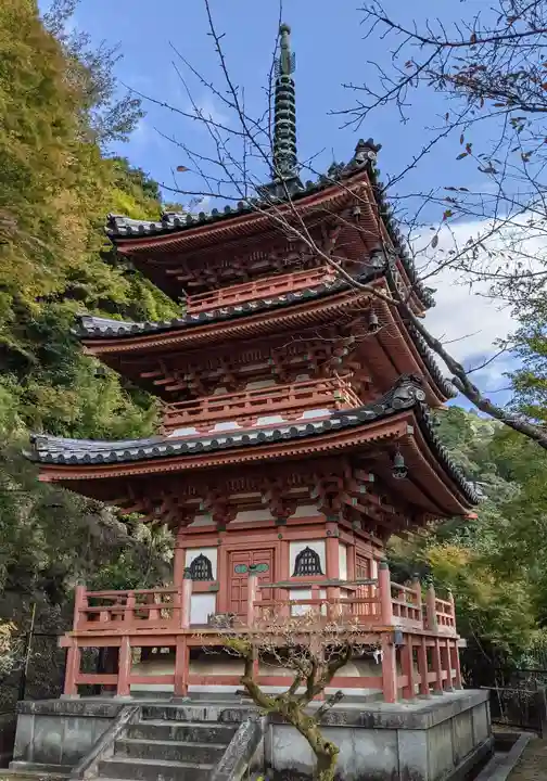 三室戸寺の塔