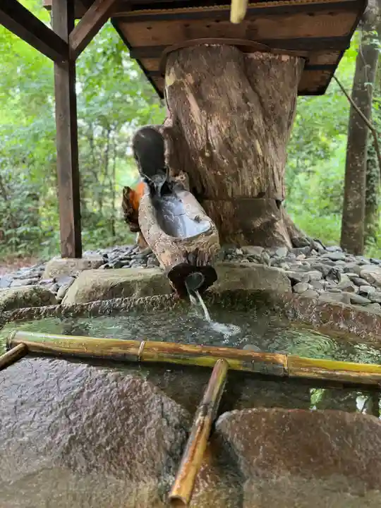 賀茂御祖神社(下鴨神社)(京都府)