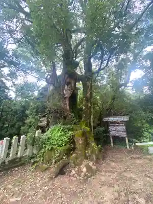 信太神社(和歌山県)