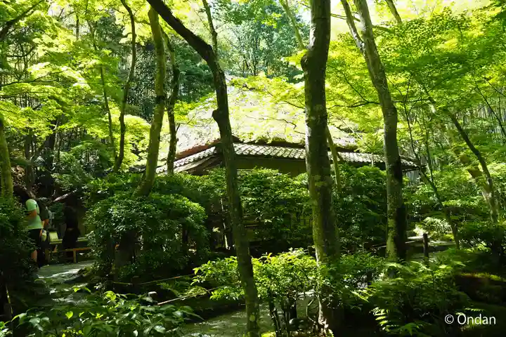 祇王寺(京都府)