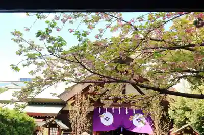 東京大神宮のその他建物