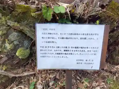 走田神社(京都府)