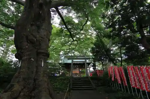 愛宕神社の景色