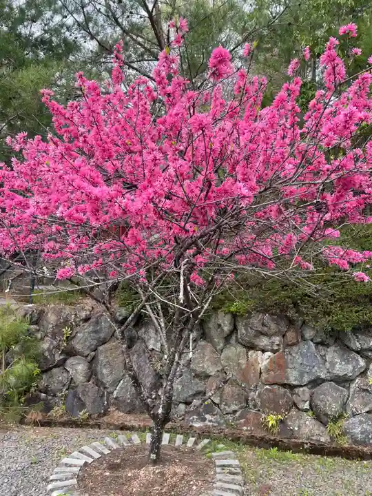 原谷弁財天(京都府)