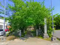 津嶋神社(萩原町西御堂)の自然