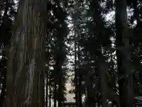 大宮温泉神社(栃木県)