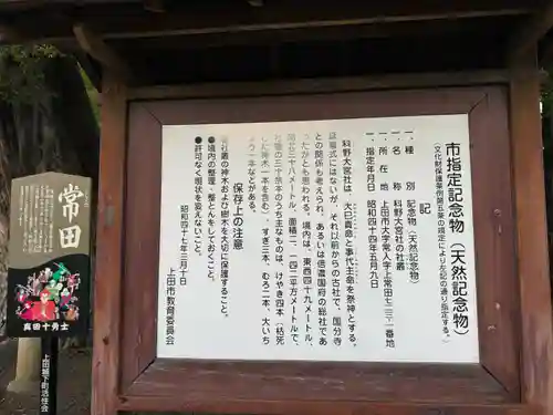 科野大宮社(長野県)