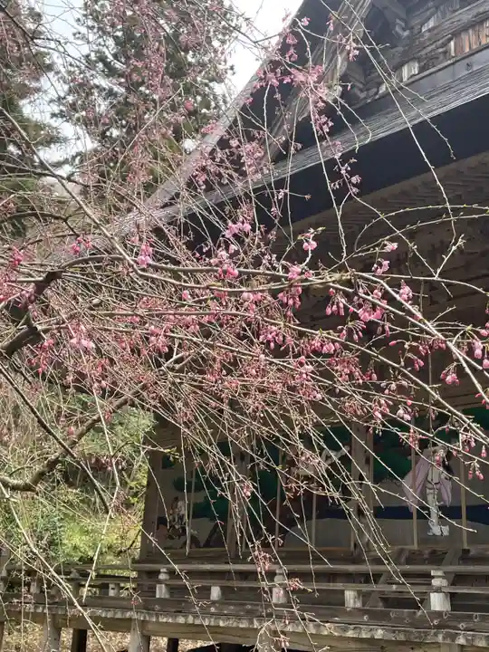 国上寺(新潟県)