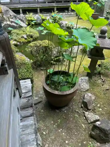 正法寺(滋賀県)