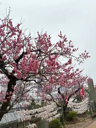 尾長天満宮の{uncategorized: "未分類", other: "その他", undefined: "問題あり", building: "その他建物", grave: "お墓", sacred_gate: "鳥居", guardian: "狛犬", statue: "像", buddha: "仏像", history: "歴史", nature: "自然", garden: "庭園", animal: "動物", pagoda: "塔", temizu: "手水舎", mountain_gate: "山門・神門", sanctuary: "本殿・本堂", subordinate: "末社・摂社", art: "芸術", scenery: "景色", jizo: "地蔵", ema: "絵馬", goshuin: "御朱印", omikuji: "おみくじ", items: "授与品その他", amulet: "お守り", goshuincho: "御朱印帳", eats: "食事", festival: "お祭り", votive_dance: "神楽", shichigosan: "七五三参", wedding: "結婚式", experience: "体験その他", initially: "初詣", around: "周辺", anti_infection: "感染症対策"}