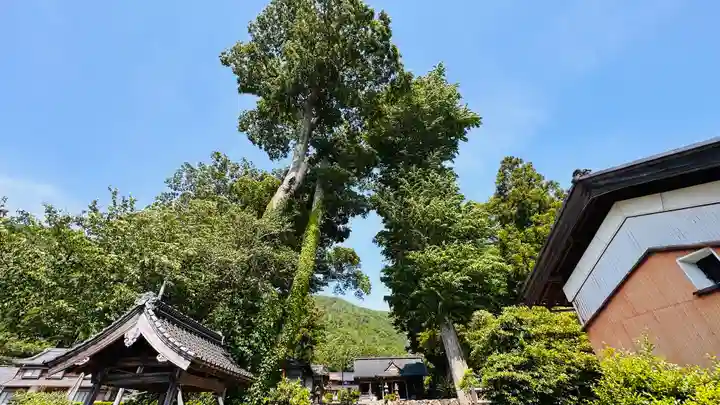 石桉比古比賣神社(福井県)
