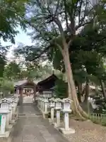 塚崎神明社(千葉県)