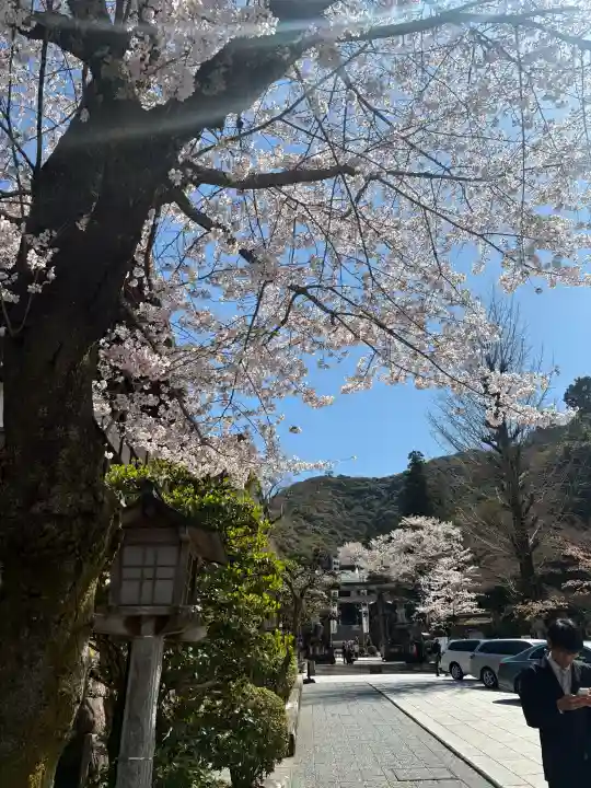 伊奈波神社の{uncategorized: "未分類", other: "その他", undefined: "問題あり", building: "その他建物", grave: "お墓", sacred_gate: "鳥居", guardian: "狛犬", statue: "像", buddha: "仏像", history: "歴史", nature: "自然", garden: "庭園", animal: "動物", pagoda: "塔", temizu: "手水舎", mountain_gate: "山門・神門", sanctuary: "本殿・本堂", subordinate: "末社・摂社", art: "芸術", scenery: "景色", jizo: "地蔵", ema: "絵馬", goshuin: "御朱印", omikuji: "おみくじ", items: "授与品その他", amulet: "お守り", goshuincho: "御朱印帳", eats: "食事", festival: "お祭り", votive_dance: "神楽", shichigosan: "七五三参", wedding: "結婚式", experience: "体験その他", initially: "初詣", around: "周辺", anti_infection: "感染症対策"}