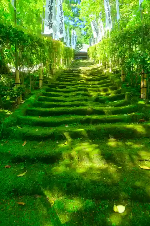 杉本寺(神奈川県)
