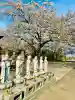 長明寺の{uncategorized: "未分類", other: "その他", undefined: "問題あり", building: "その他建物", grave: "お墓", sacred_gate: "鳥居", guardian: "狛犬", statue: "像", buddha: "仏像", history: "歴史", nature: "自然", garden: "庭園", animal: "動物", pagoda: "塔", temizu: "手水舎", mountain_gate: "山門・神門", sanctuary: "本殿・本堂", subordinate: "末社・摂社", art: "芸術", scenery: "景色", jizo: "地蔵", ema: "絵馬", goshuin: "御朱印", omikuji: "おみくじ", items: "授与品その他", amulet: "お守り", goshuincho: "御朱印帳", eats: "食事", festival: "お祭り", votive_dance: "神楽", shichigosan: "七五三参", wedding: "結婚式", experience: "体験その他", initially: "初詣", around: "周辺", anti_infection: "感染症対策"}