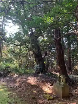 荒神宮(千葉県)