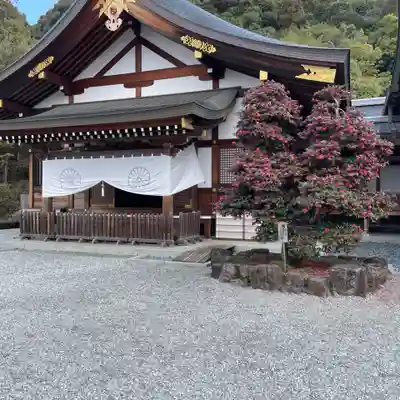 大神神社(奈良県)