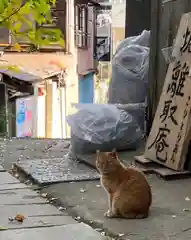 戸越八幡神社の動物