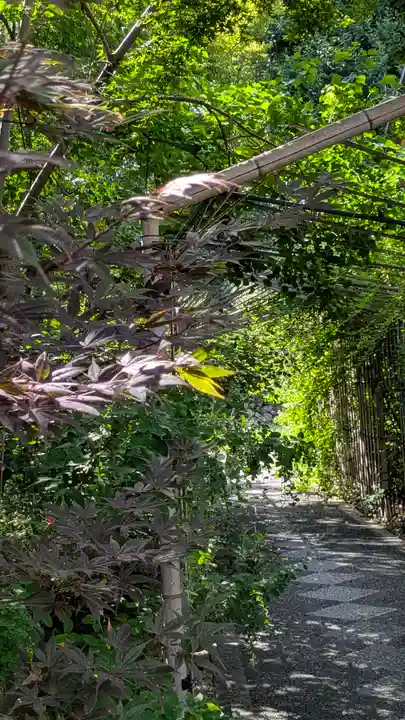 梨木神社(京都府)