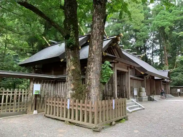 天岩戸神社の自然