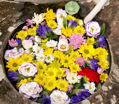 真言宗　善通寺派　薬王寺(香川県)