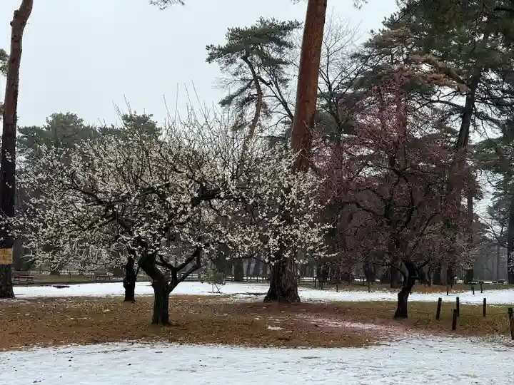 埼玉縣護國神社(埼玉県)