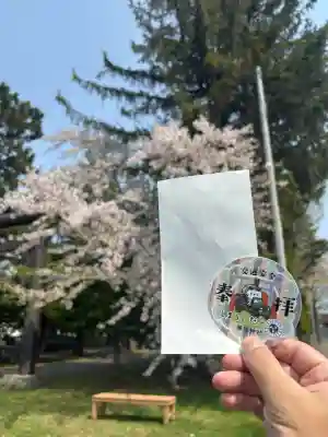 篠路神社の{uncategorized: "未分類", other: "その他", undefined: "問題あり", building: "その他建物", grave: "お墓", sacred_gate: "鳥居", guardian: "狛犬", statue: "像", buddha: "仏像", history: "歴史", nature: "自然", garden: "庭園", animal: "動物", pagoda: "塔", temizu: "手水舎", mountain_gate: "山門・神門", sanctuary: "本殿・本堂", subordinate: "末社・摂社", art: "芸術", scenery: "景色", jizo: "地蔵", ema: "絵馬", goshuin: "御朱印", omikuji: "おみくじ", items: "授与品その他", amulet: "お守り", goshuincho: "御朱印帳", eats: "食事", festival: "お祭り", votive_dance: "神楽", shichigosan: "七五三参", wedding: "結婚式", experience: "体験その他", initially: "初詣", around: "周辺", anti_infection: "感染症対策"}