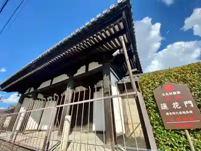 東寺（教王護国寺）(京都府)