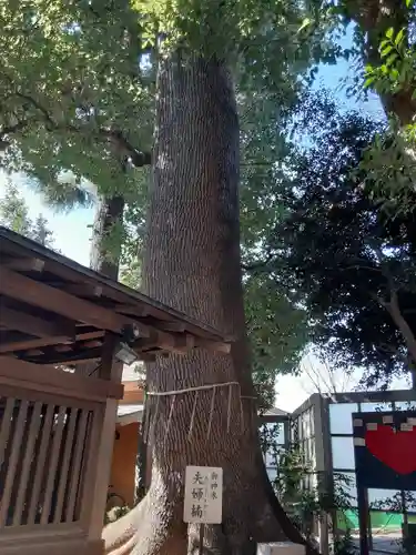 鳩ヶ谷氷川神社の自然