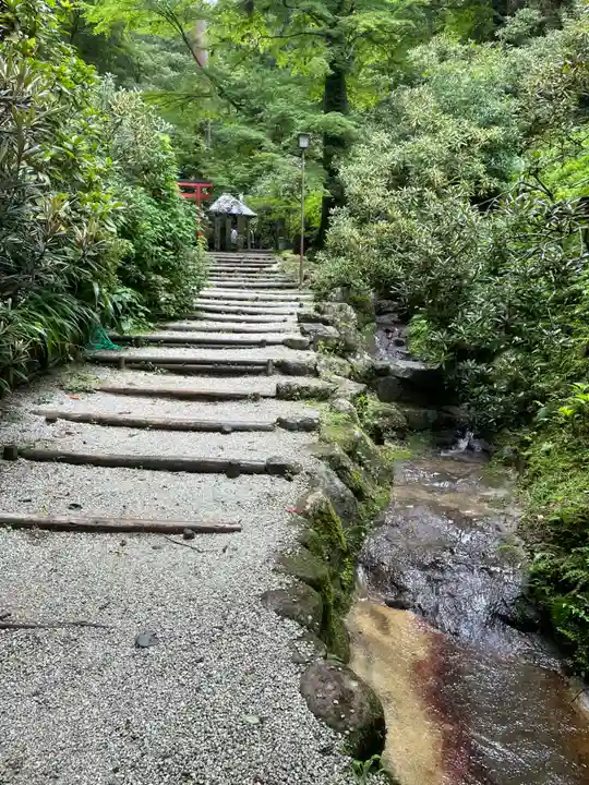 岡寺(龍蓋寺)(奈良県)