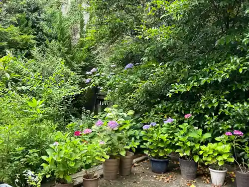 大綱金刀比羅神社(神奈川県)