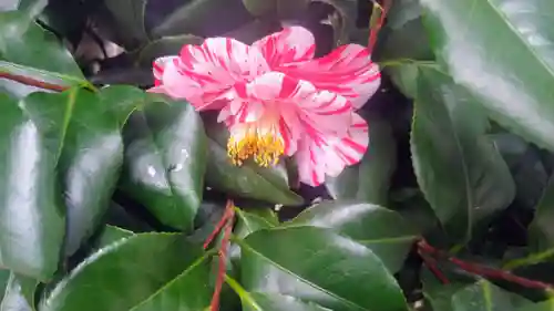 櫛田神社(福岡県)