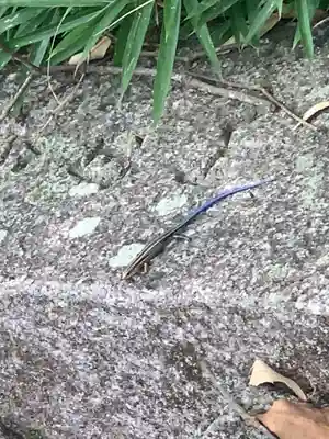 海神社(和歌山県)