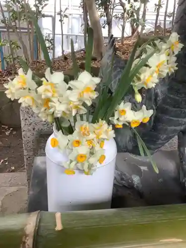 蝮ヶ池八幡宮の手水舎