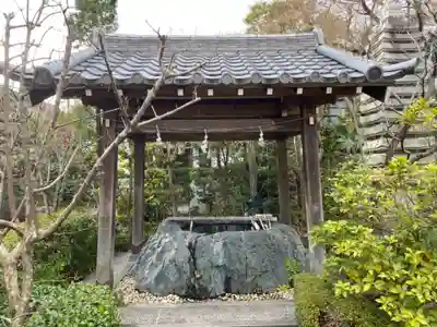 大学院の手水舎