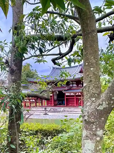 平等院(京都府)